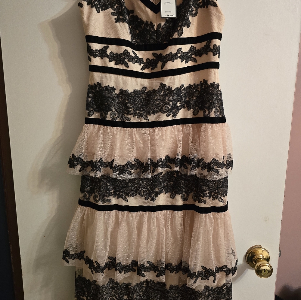 BCBG nude and black sleeveless gown